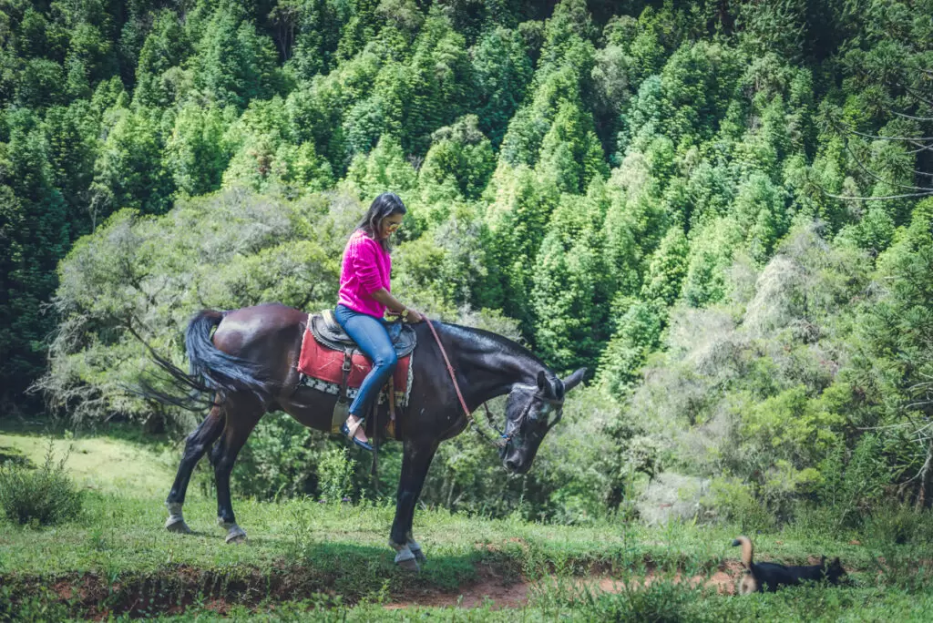 Hotéis em Monte Verde pensão completa