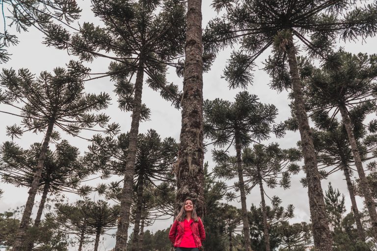 O Que Fazer Em Campos Do Jordão Guia Completo Viaje Sempre Que Quiser