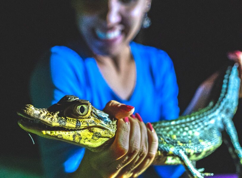 selva-amazonica