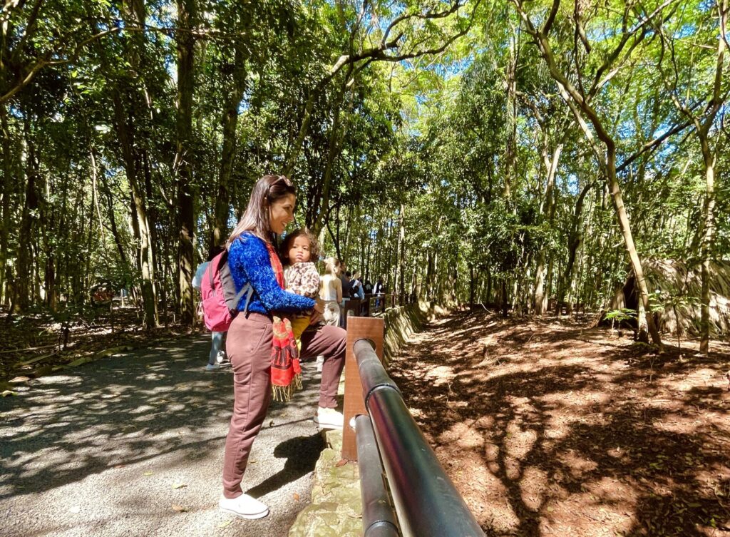 Passeio em Foz do Iguaçu preço
